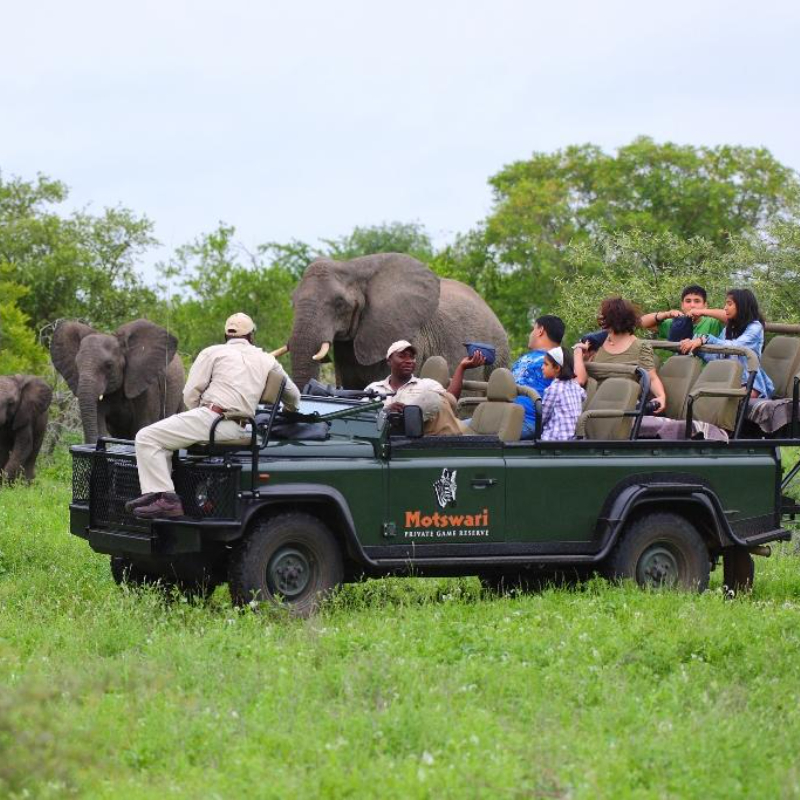 motswari-private-game-reserve-00